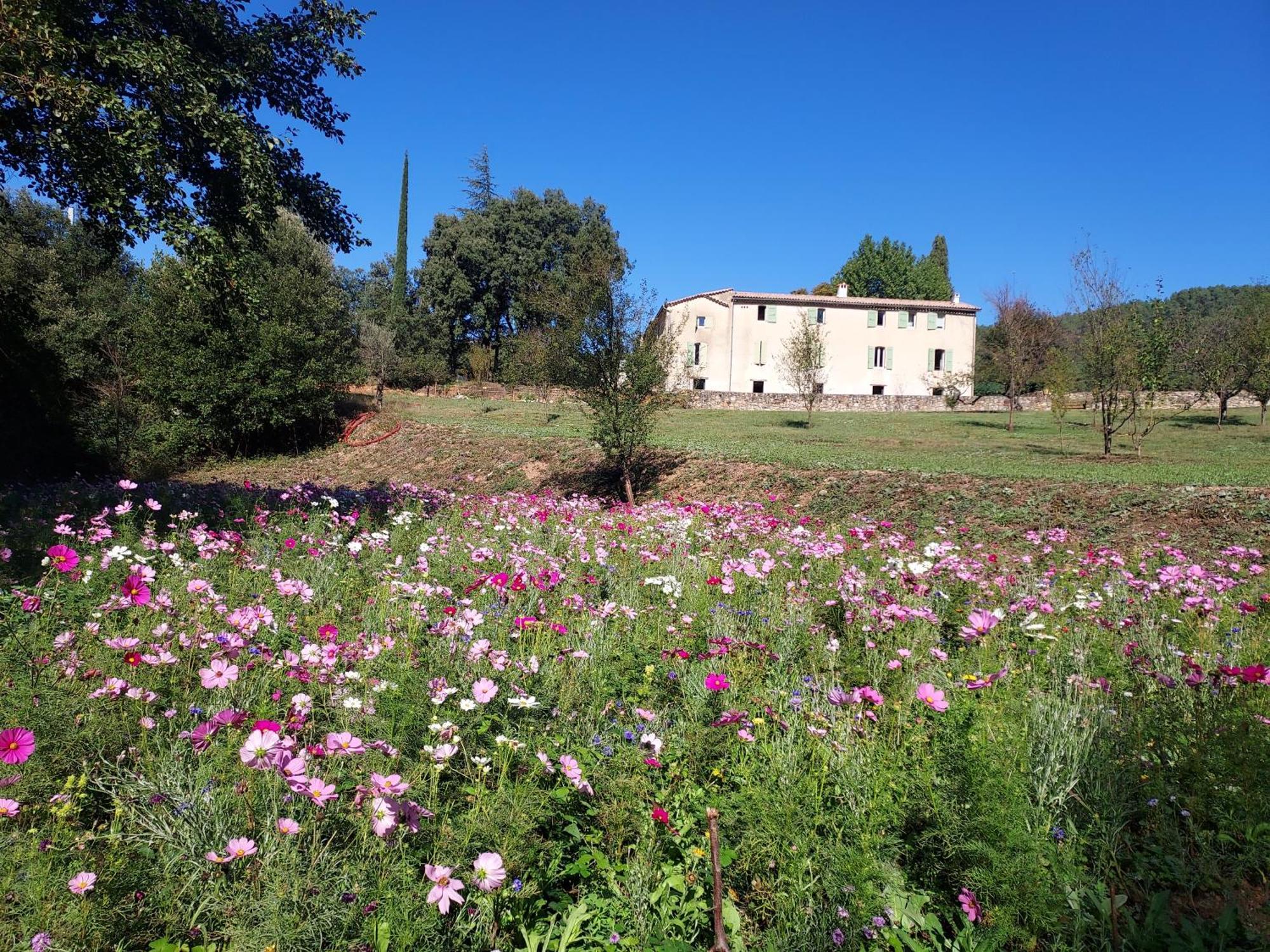 Les Jardins De Falguière Maison d'hôtes